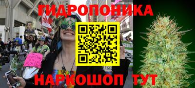 кокс Гусиноозёрск